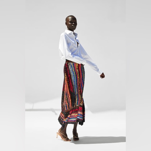 Zara Limited Edition Multi-Colored Sequin Maxi Skirt - Picture 2 of 12